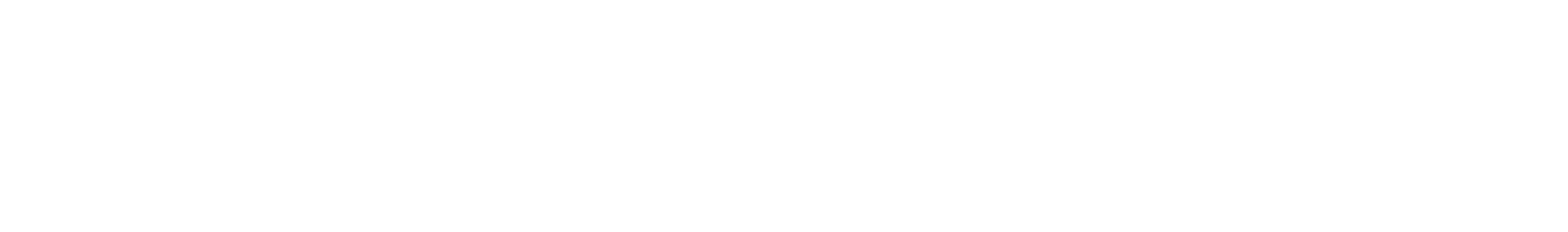 Higher-Brain-Living-Logo-white-lg